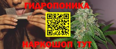 гидропоника Кинель
