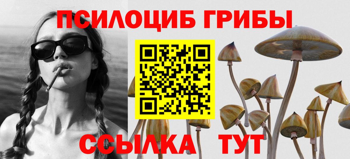 Галлюциногенные грибы GOLDEN TEACHER  Вход с VPN  Благовещенск  Псилоцибиновые грибы Magic Shrooms 